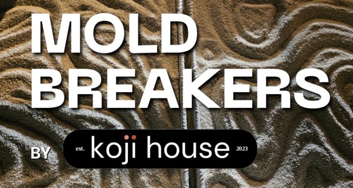 Mold Breakers