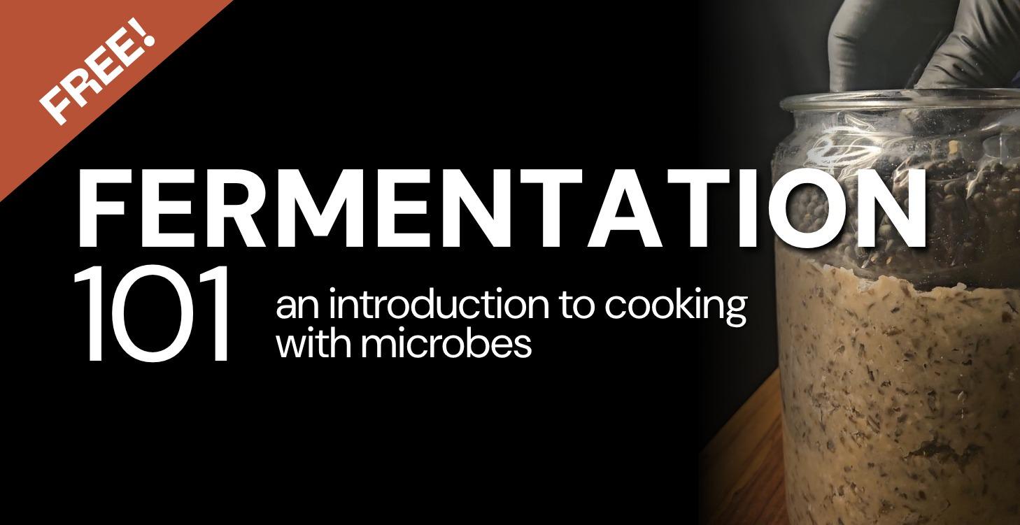 Fermentation 101: Into the World of Microbes
