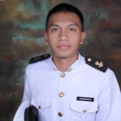 Vince Francis Geronga