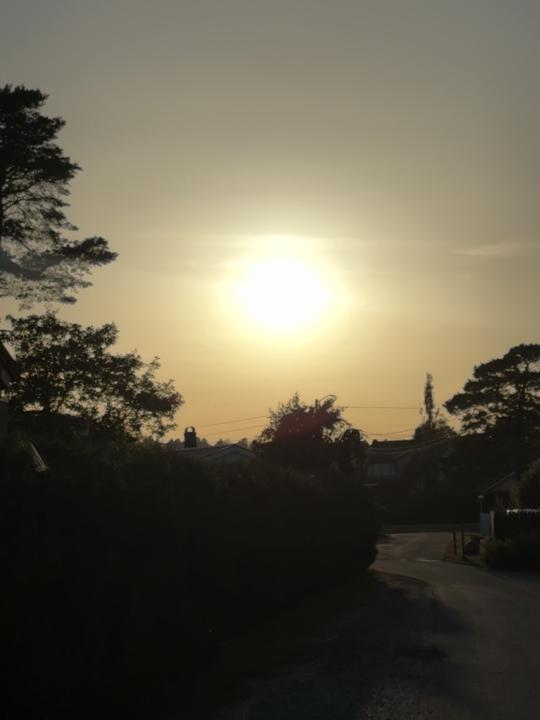 The Sun tonight 🥰