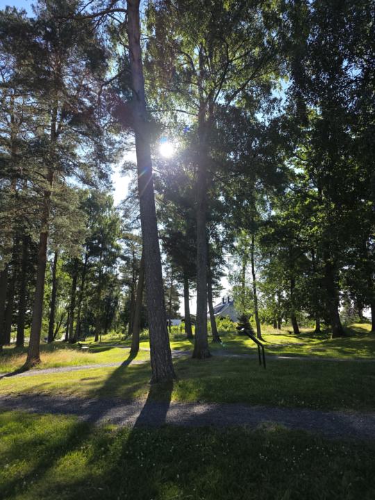 The morning sun 🌞