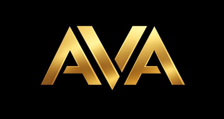 Advanced Vision Academy