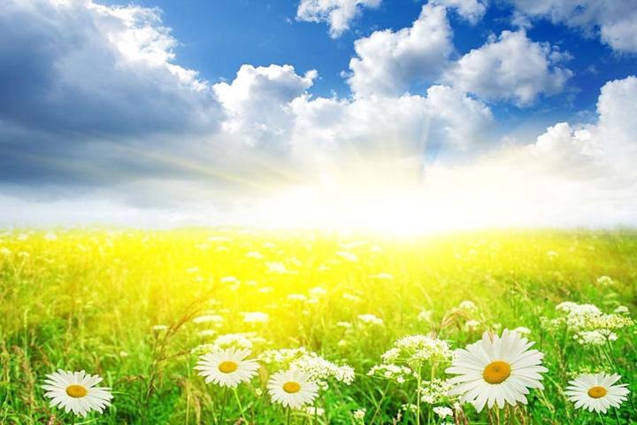 Natália Konevalová