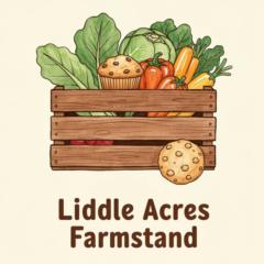 Morgan Liddle