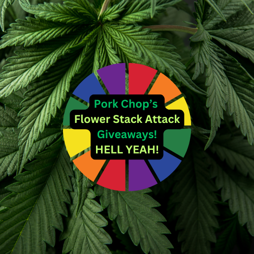 🎁 Monthly Giveaway Wheel – First Spin Oct 1st!