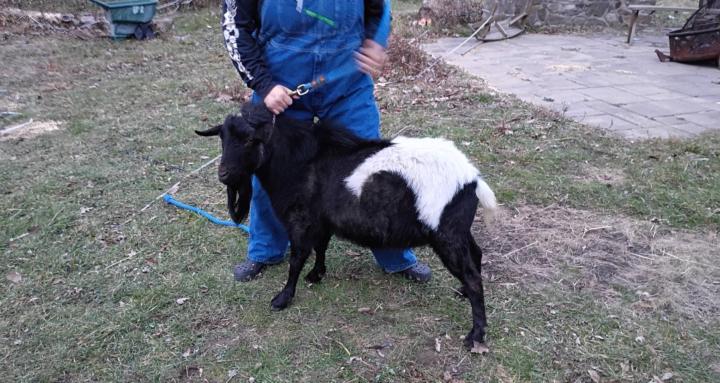 Hidden rails farm & farrier