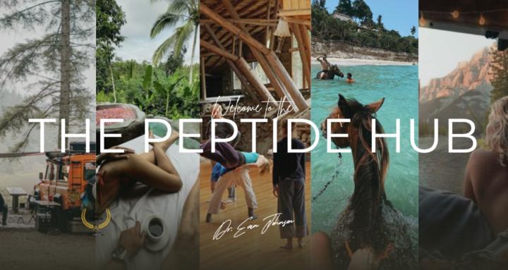 The Peptide Hub