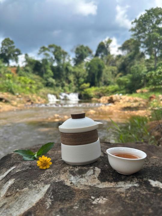 Toai Do