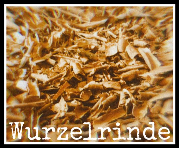 wie lange wirkt Iboga?