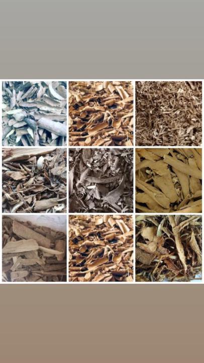 Mircrodosing mit IBOGA Wurzelrinde