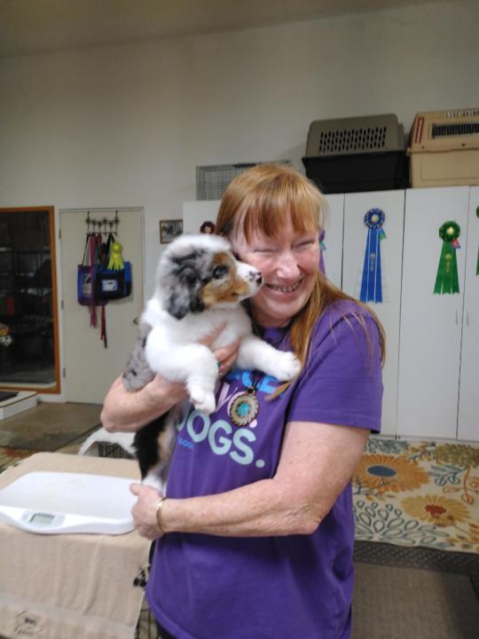 Cheryl Lynn DeWorken