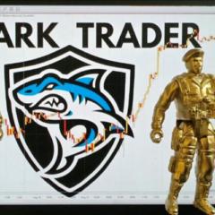 Cesar Shark Trader.