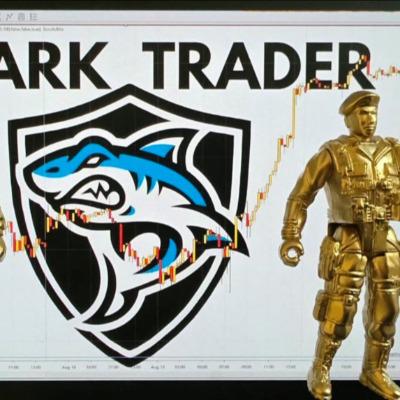 Cesar Shark Trader.