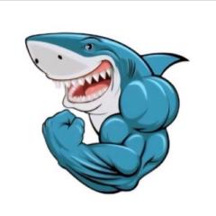 Cesar Shark Trader.