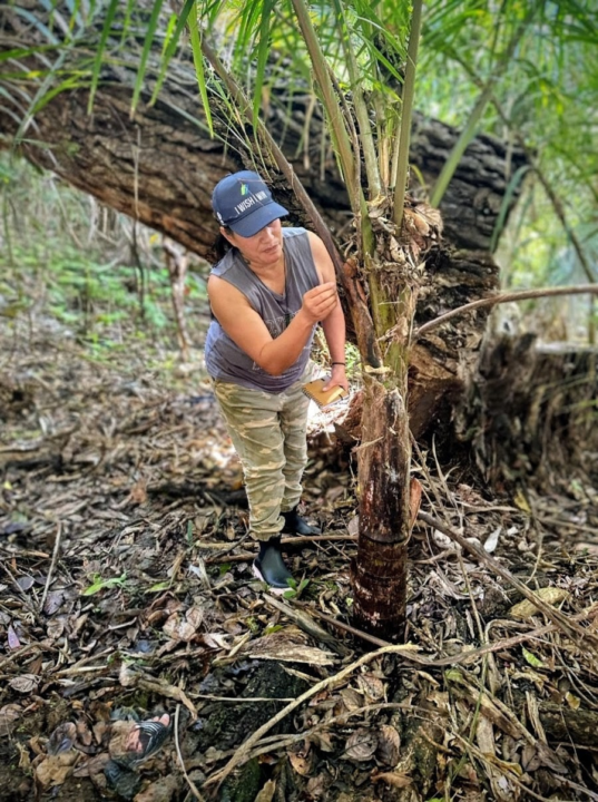 WELCOME TO NATURAL HEALING SKOOL!! 🥳😍🎉🎊🌴🪴🌱