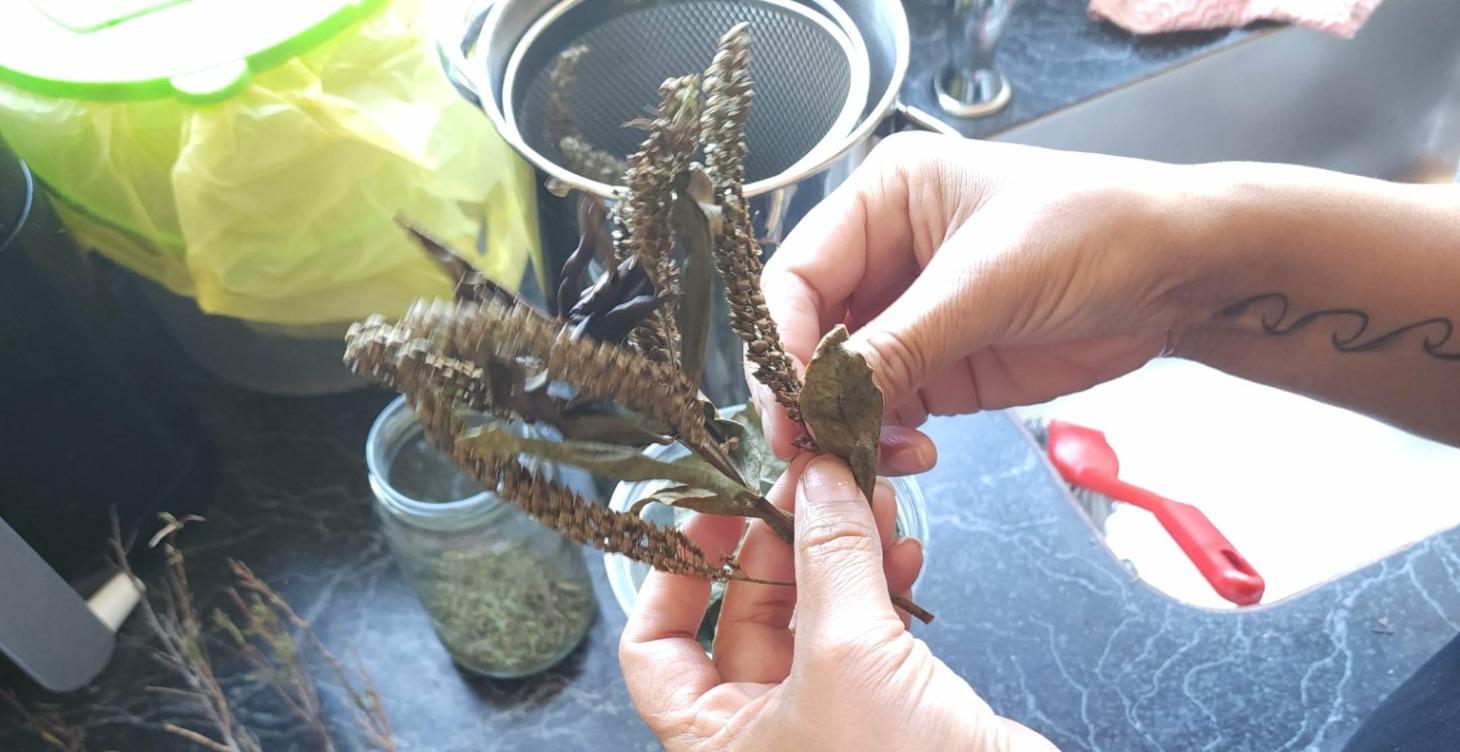 Rongoā Māori Module 1-3