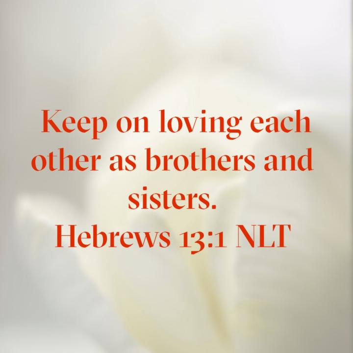 February Scripture Writing