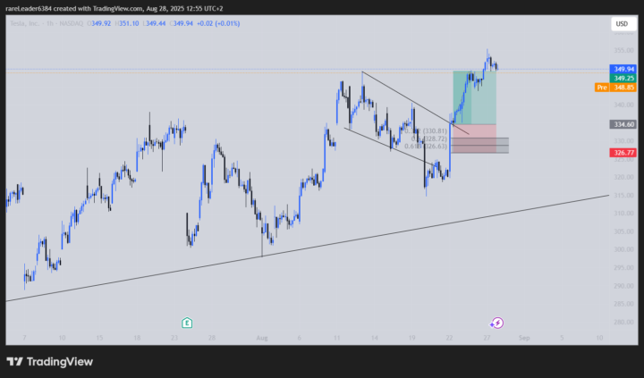 TSLA 4.3% win x 10 leverage 