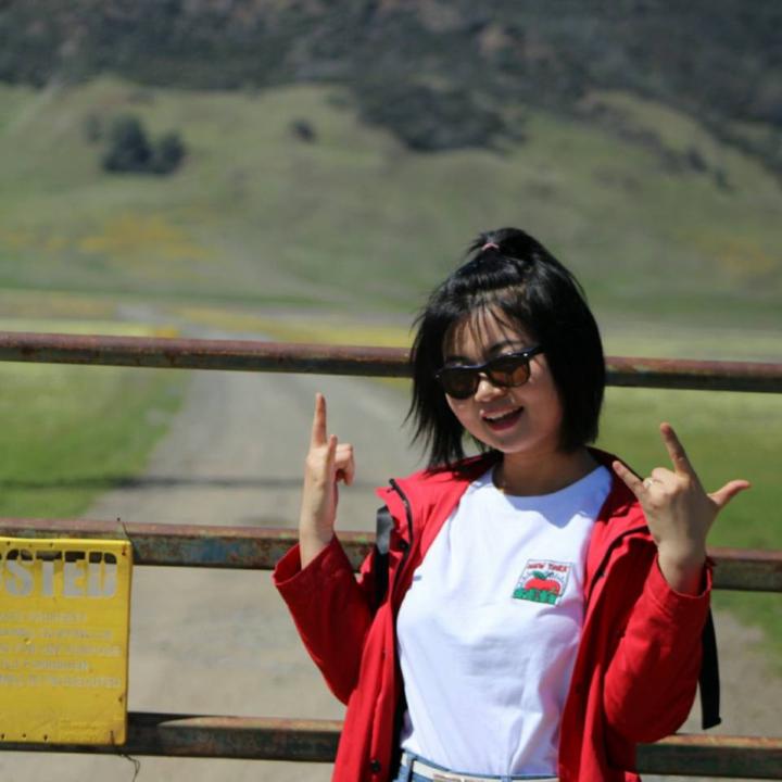 Lulu Zhang