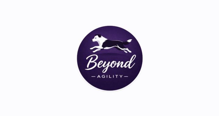 Beyond Agility Free Community 