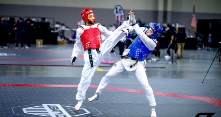 Taekwondo Fury Institution