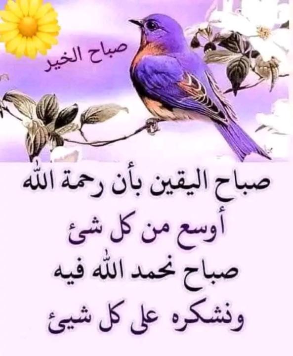 Hamza Ed