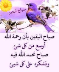 Hamza Ed