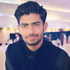 Malik Hasnain Ali
