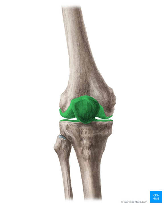 CSCS Daily Practice Question #28