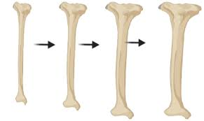 CSCS Daily Practice Question #41