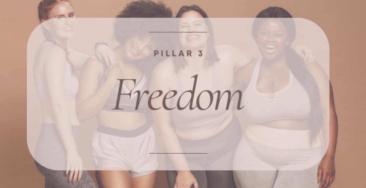Pillar 3 - Freedom