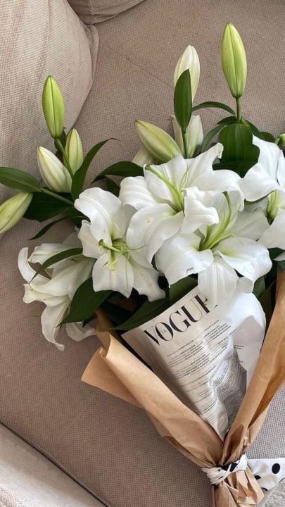 Vava Black