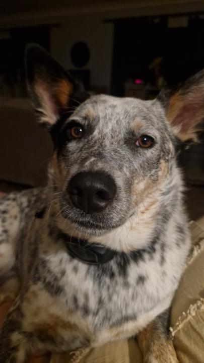 the face of betrayal 