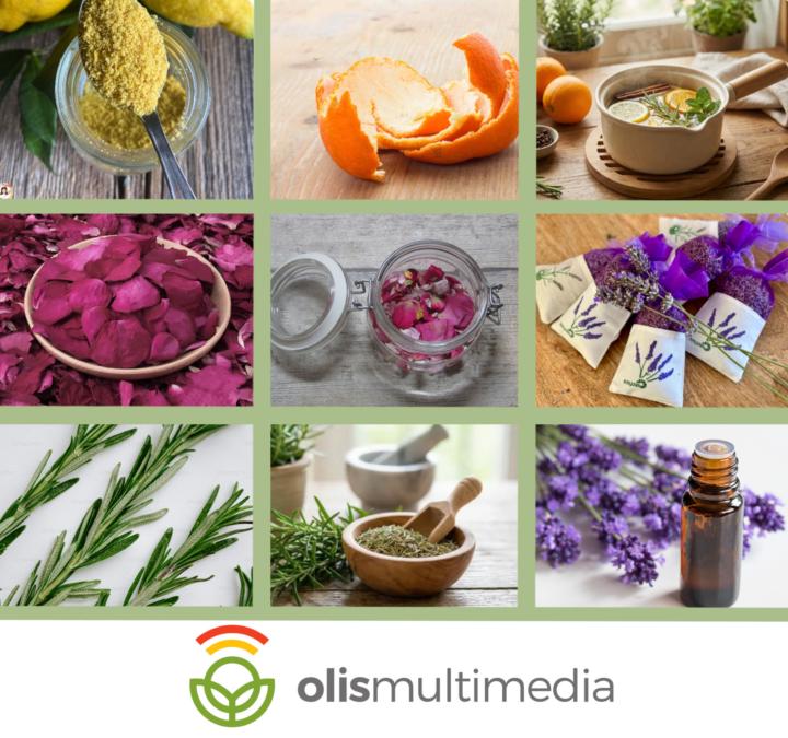 Come profumare la casa in modo naturale. Rimedi semplici, sostenibili e pieni di armonia