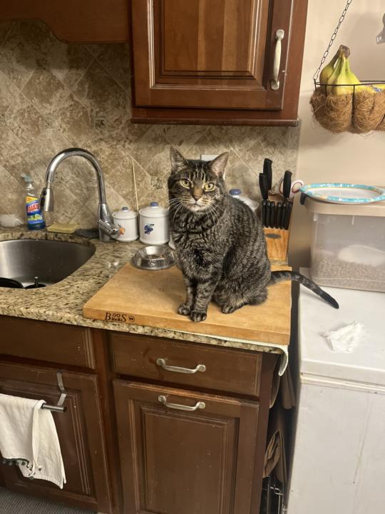 New Member Introduce Myself