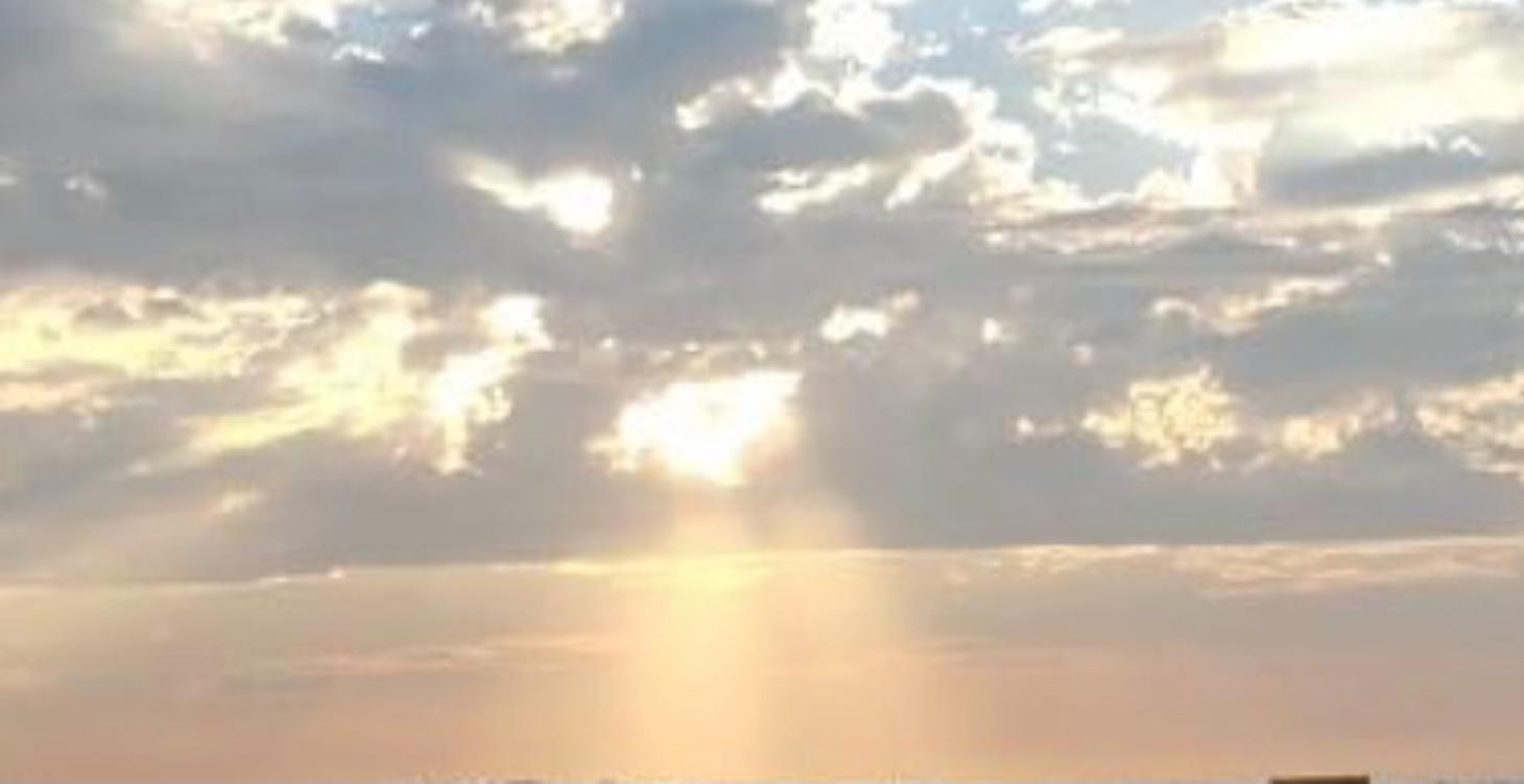 THE ROCKEFELLER PLAYBOOK™