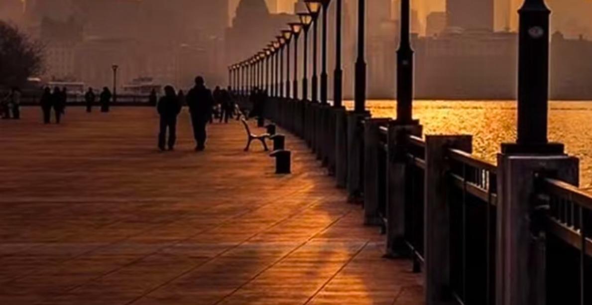 Monetize Your Genius™