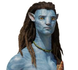 Consultora Financiera