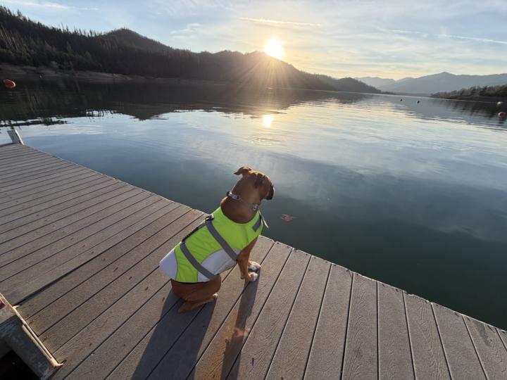 Filed-trip Video Shoot!! 🌅  🐾