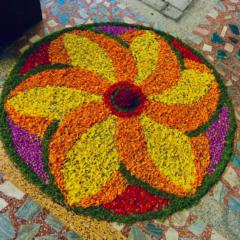 Nidhish Nath