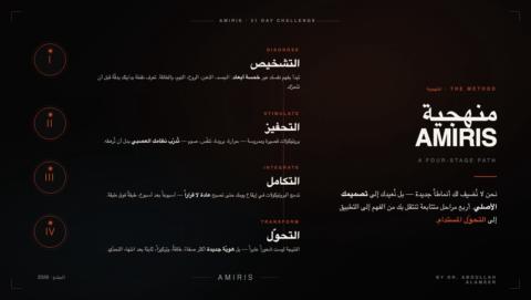 Amiris 21 Days Challenge gallery image