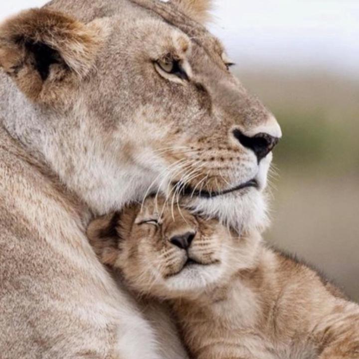 Mª Ángeles Martínez