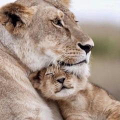 Mª Ángeles Martínez