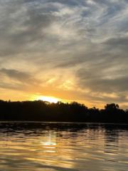 David Josue Gordon Martinez