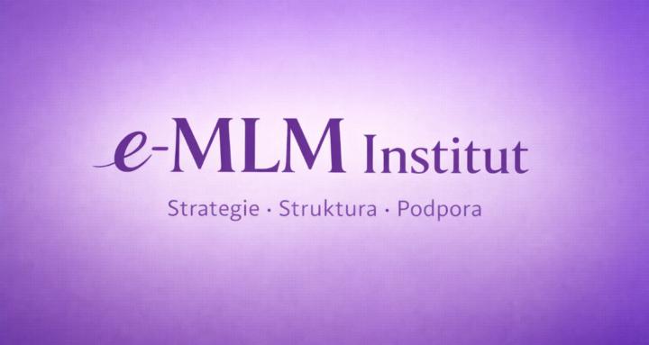 e-MLM Institut