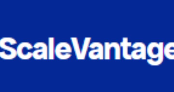 ScaleVantage