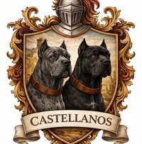 Denis Castellanos