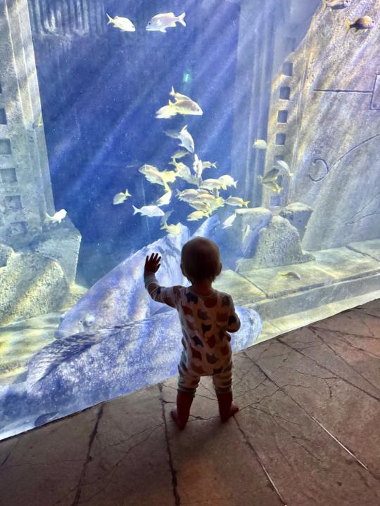 Knowing your motivation