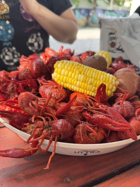 My latest why for financial freedom