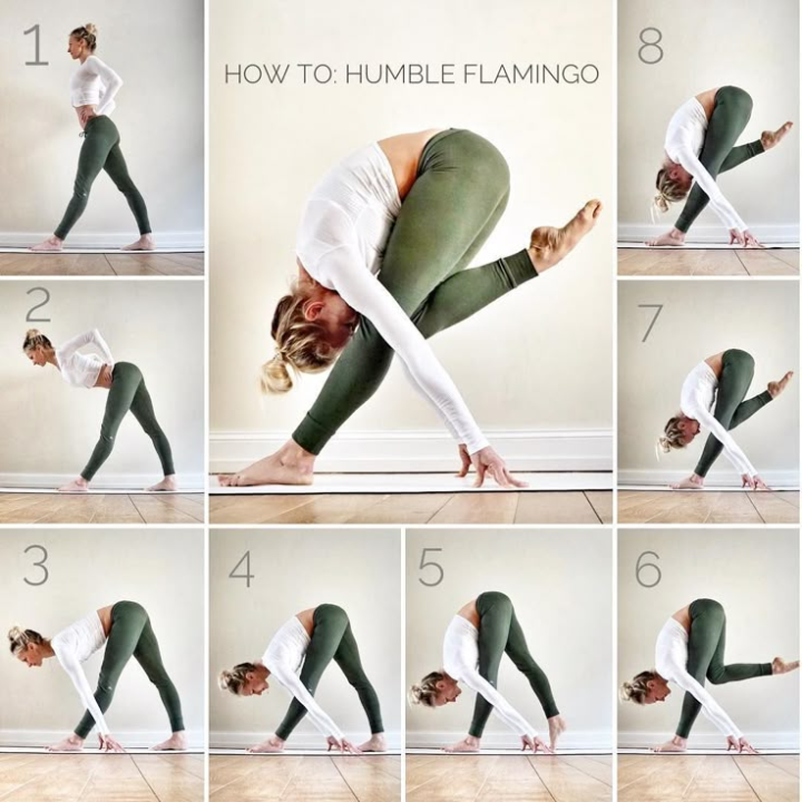 Find your balance with the Humble Flamingo pose—where grace meets strength!🦩